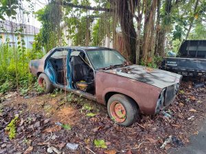 An old, rusted car with missing doors and windows sits abandoned on a bed of dry leaves next to a large tree. The paint is chipped, foliage surrounds it, and ironically, it's the kind of sight that might make you wish for emergency roadside assistance.